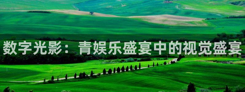 彩神vii官方：数字光影：青娱乐盛宴中的视觉盛宴