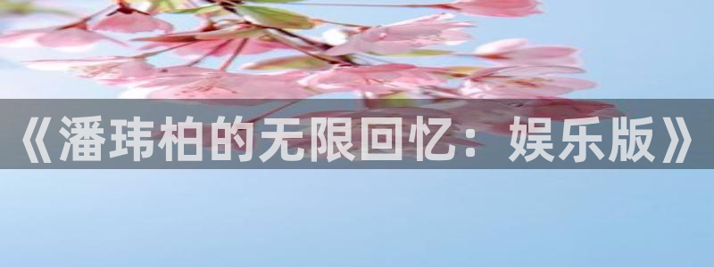 彩神vii官方：《潘玮柏的无限回忆：娱乐版》