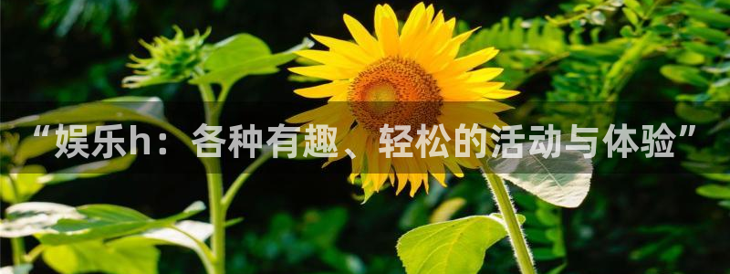 彩神vii官方：“娱乐h：各种有趣、轻松的活动与体验”