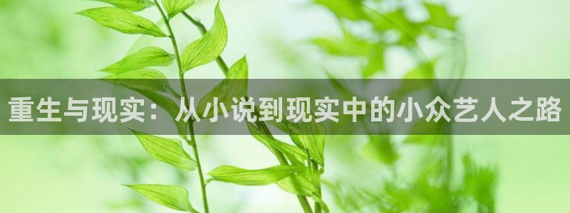彩神vii官方：重生与现实：从小说到现实中的小众艺人之路