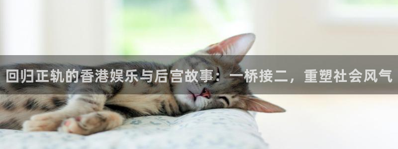 彩神vii官方：回归正轨的香港娱乐与后宫故事：一桥接二，重塑社会风气