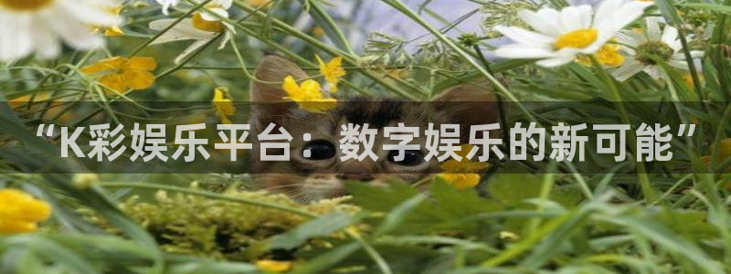 彩神vii官方：“K彩娱乐平台：数字娱乐的新可能”